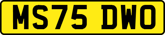 MS75DWO