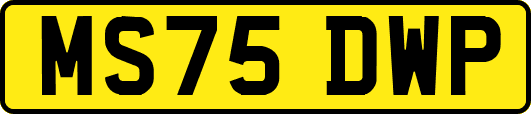 MS75DWP