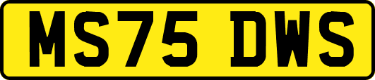 MS75DWS