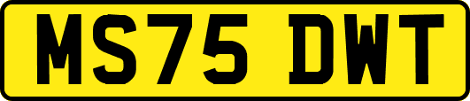 MS75DWT