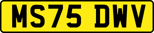 MS75DWV