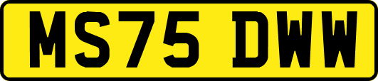 MS75DWW