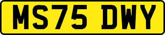 MS75DWY