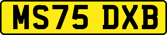MS75DXB