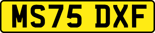 MS75DXF