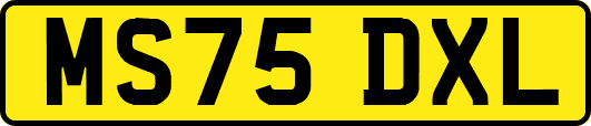 MS75DXL