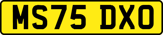 MS75DXO