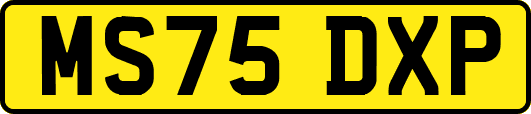 MS75DXP