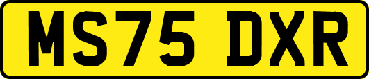 MS75DXR