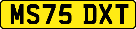MS75DXT