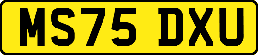 MS75DXU