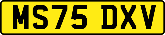 MS75DXV