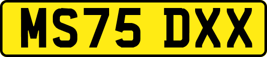 MS75DXX