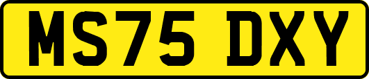MS75DXY
