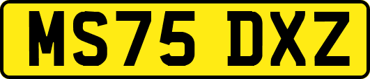 MS75DXZ