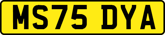 MS75DYA