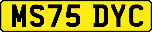 MS75DYC