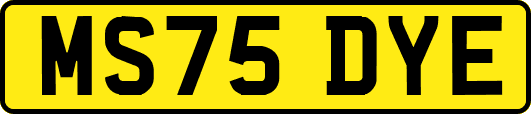 MS75DYE