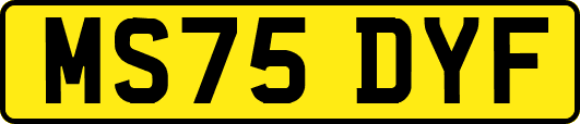MS75DYF