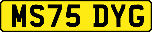 MS75DYG