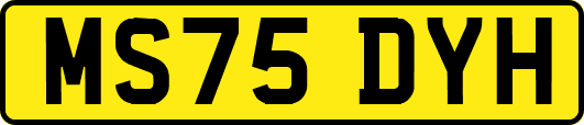MS75DYH