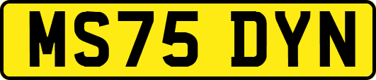 MS75DYN