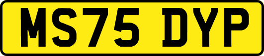 MS75DYP