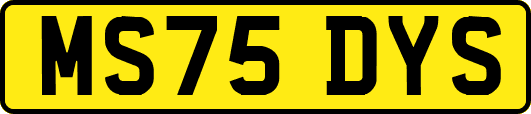 MS75DYS