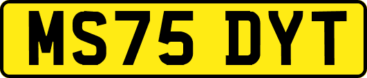 MS75DYT