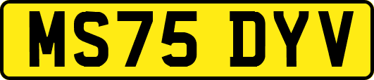MS75DYV