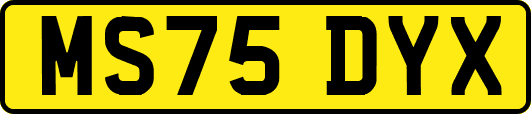 MS75DYX