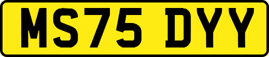 MS75DYY