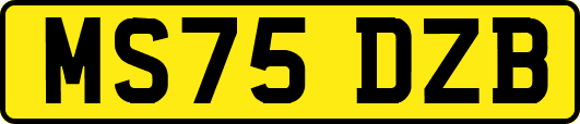 MS75DZB