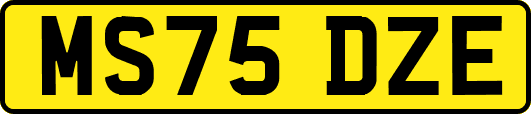 MS75DZE