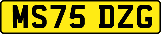 MS75DZG