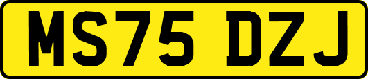 MS75DZJ