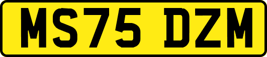 MS75DZM