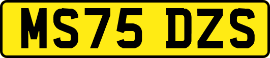 MS75DZS