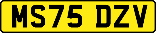 MS75DZV