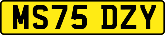 MS75DZY