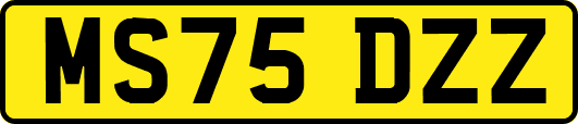 MS75DZZ