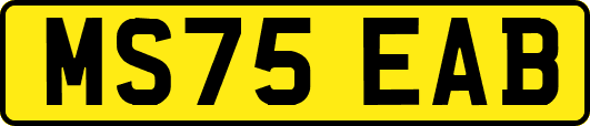 MS75EAB