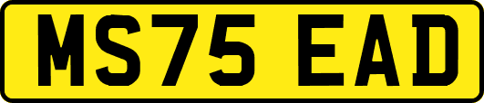 MS75EAD