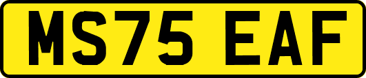 MS75EAF