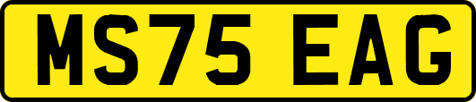 MS75EAG