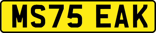 MS75EAK