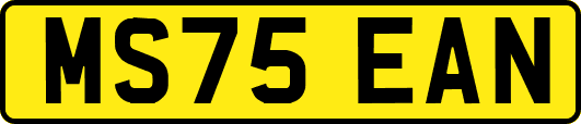 MS75EAN