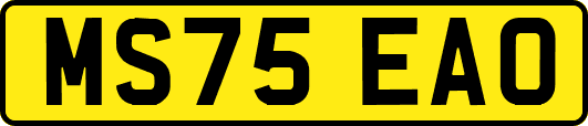 MS75EAO