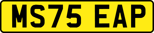 MS75EAP