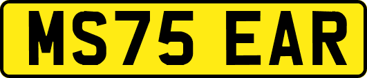 MS75EAR